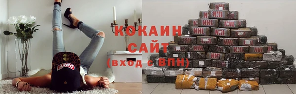 индика Няндома