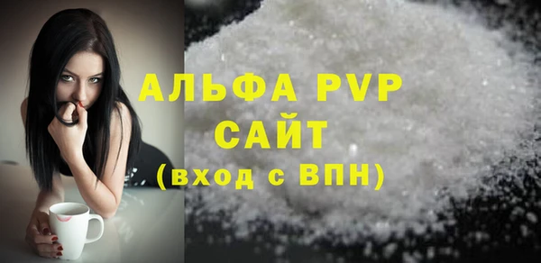 индика Няндома