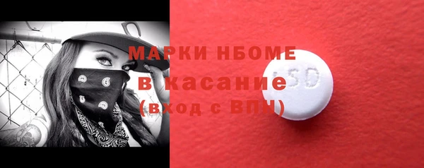 индика Няндома