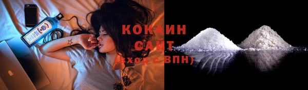 индика Няндома