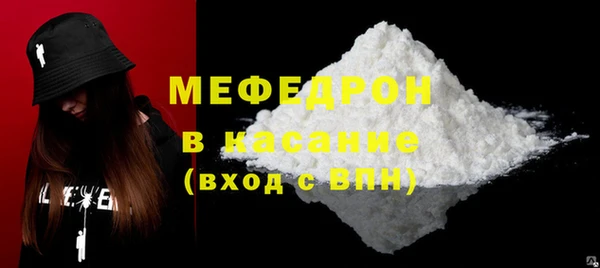 индика Няндома