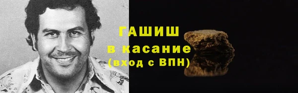 индика Няндома