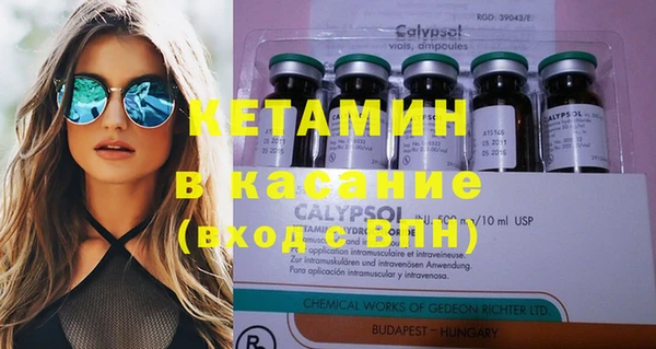 индика Няндома