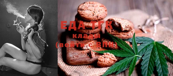 тгк Галич