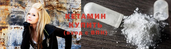 индика Няндома