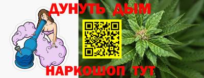 spice Кингисепп