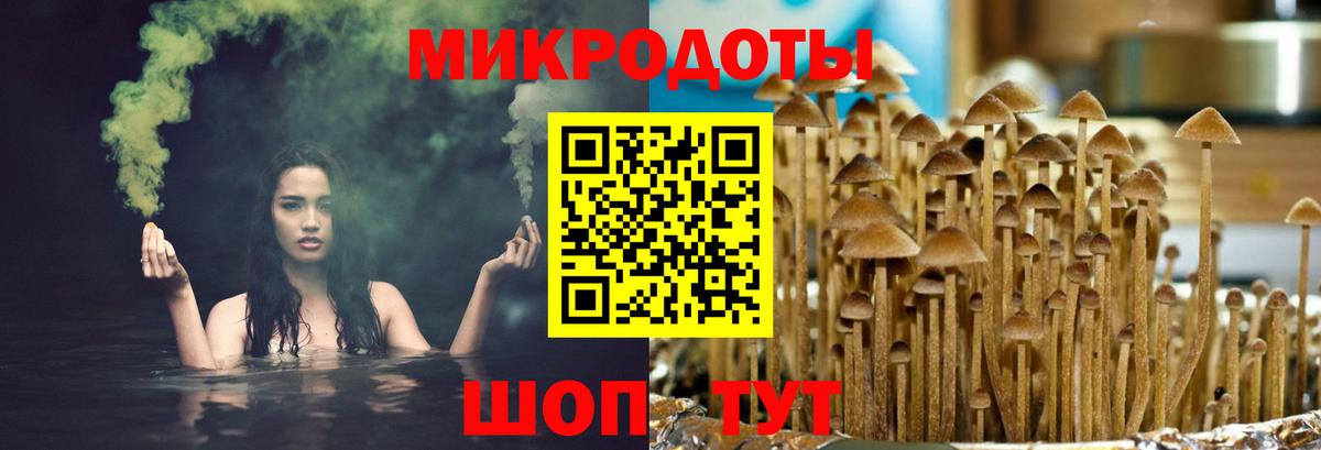 Галлюциногенные грибы прущие грибы  Вход с VPN  Галлюциногенные грибы Psilocybe  Иркутск 